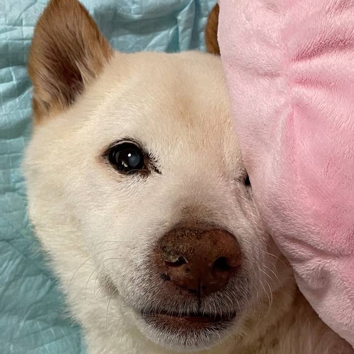 96c1c14a 3247 4ab5 a975 833a7878f902 1686212916183