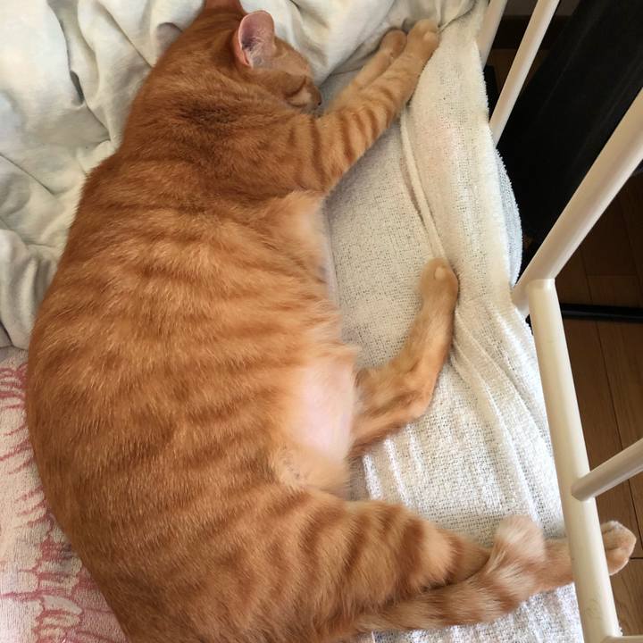 96c2166a 6d00 4ed1 9aa7 07d964b63768 1568602695027