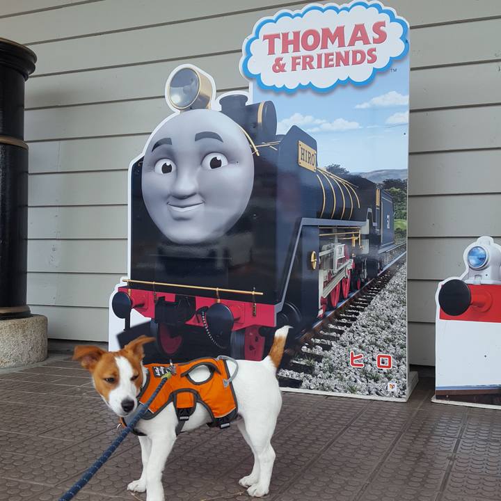 96c24511 0f6e 44f2 99bb b560b09e9530 1559189835580