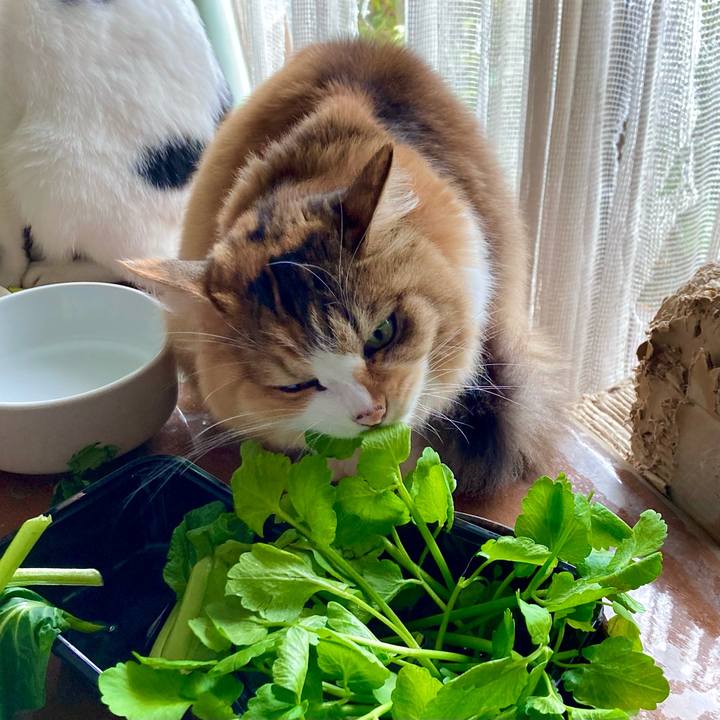 96c25683 a3d7 4120 b99b b90064da3ba8 1666680237684