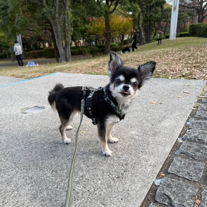 96c25dfd e666 490f 833c ee15ec45ce88 1763277296170