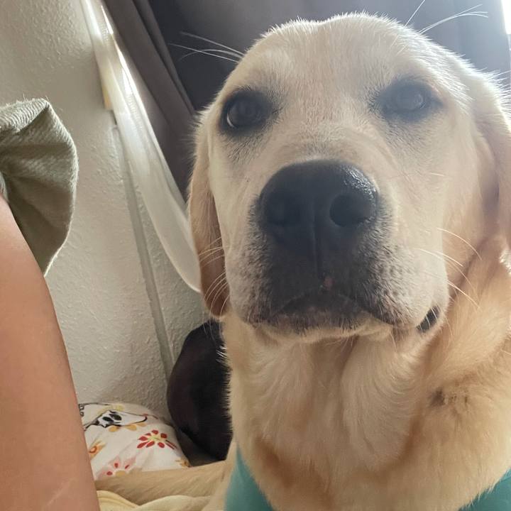 96c2735e 8d13 44cd ad6c 0dbb61451241 1623024887032