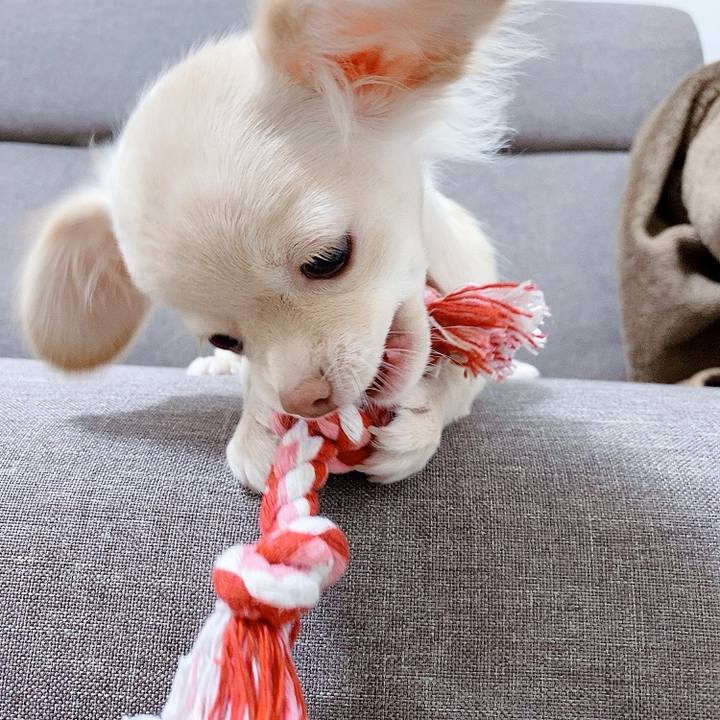 96c28939 b0f3 4acb 848f 2e8e43105686 1593392462329