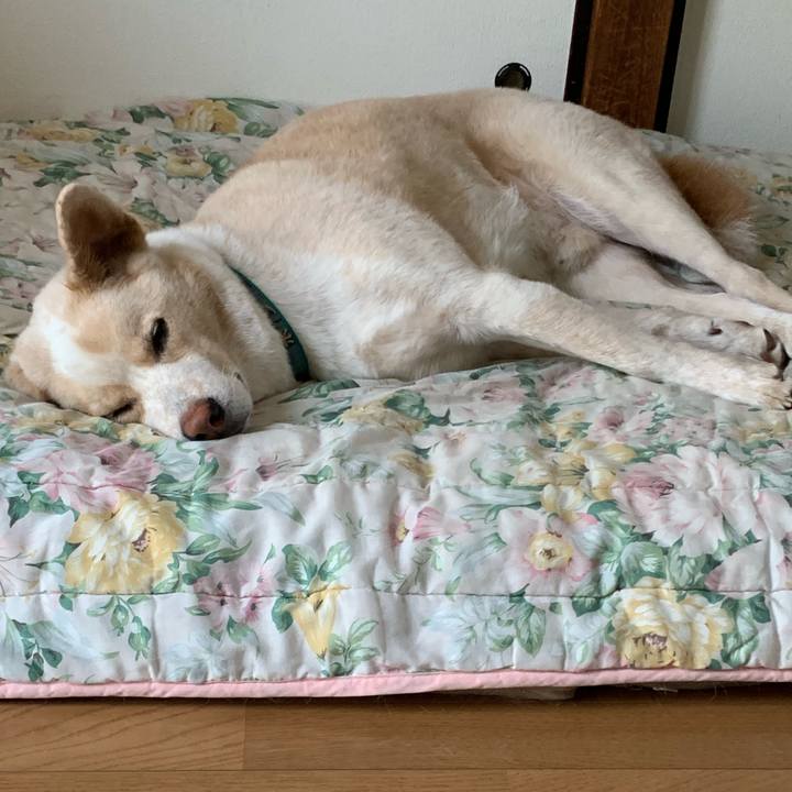 96c2a0e6 f08a 441a 8906 8fe0b1743528 1564294164885