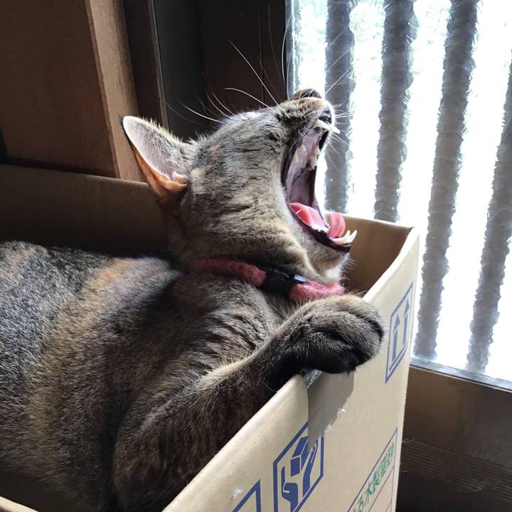 96c2c0f7 b5f0 449b af4e b69003dcb28e 1596268455080