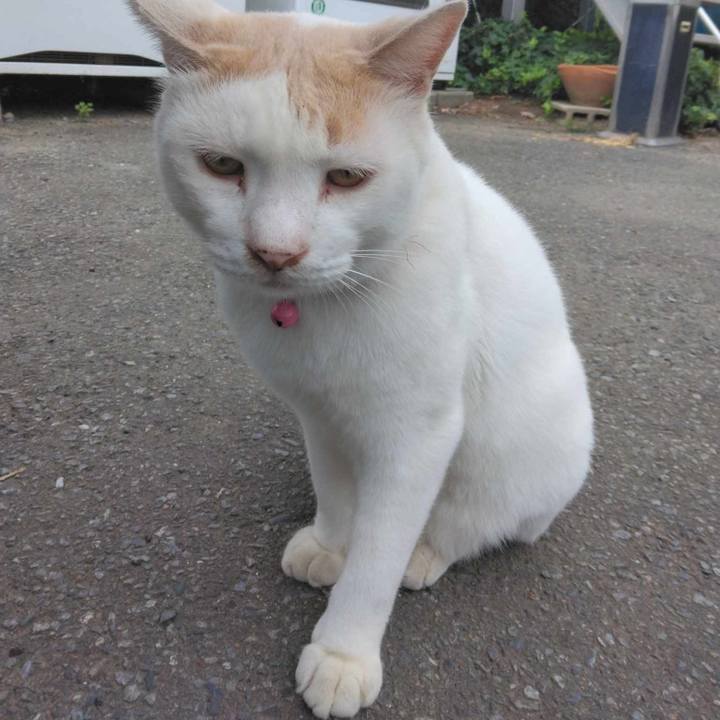 96c2e0df 1bdd 433b 8d61 c443ef26c557 1693701269798