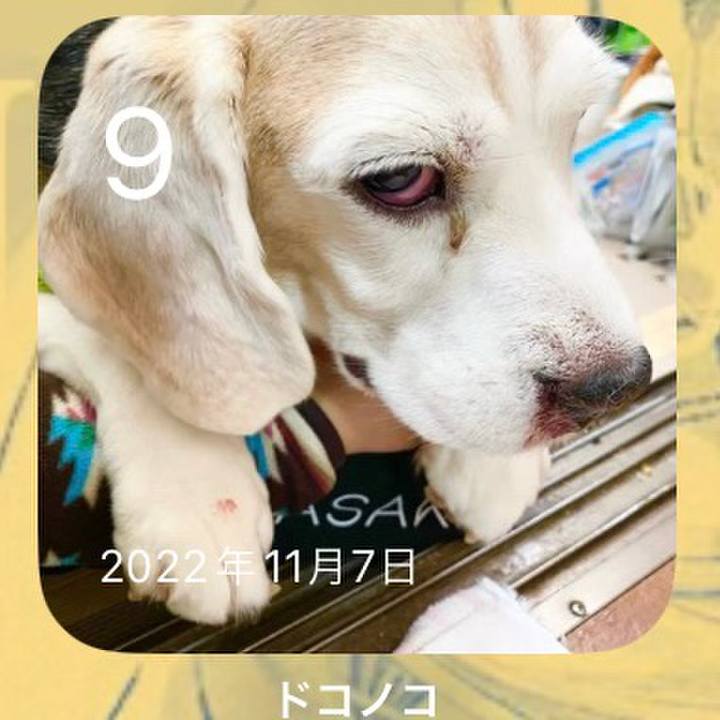 96c2ef15 733c 4537 b057 63914e111fe0 1699491718759