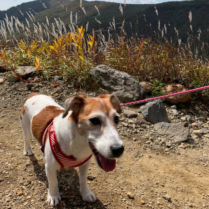 96c2f286 bb02 4a7f aef9 edde37410657 1571151962732