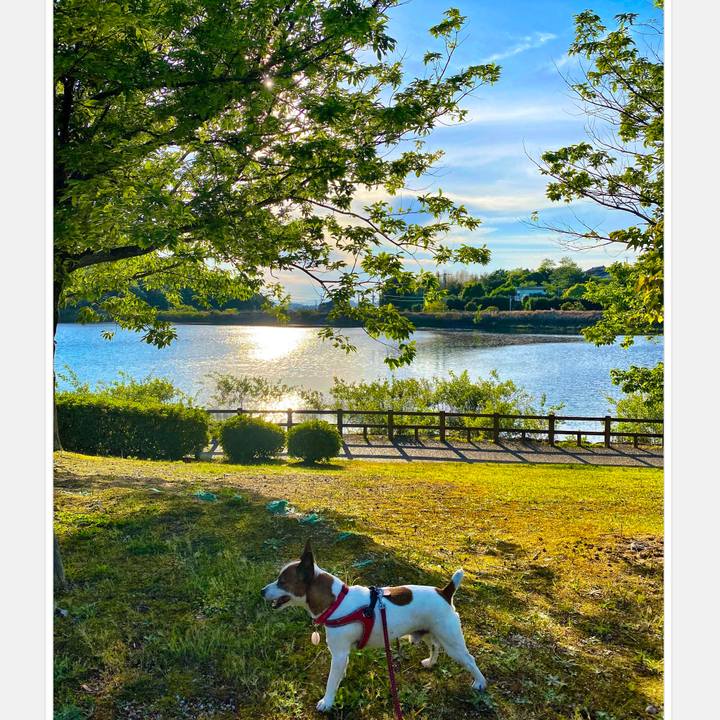 96c325ae dd69 4800 98c6 aaa5e1aa6859 1588847233719