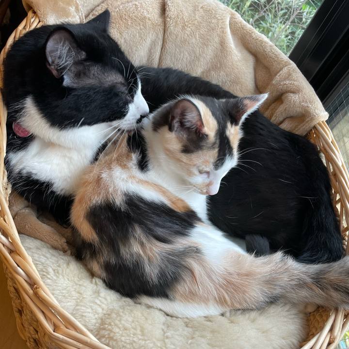 96c35335 9807 4ad5 9bea 2f6eae5e76dd 1665382345626