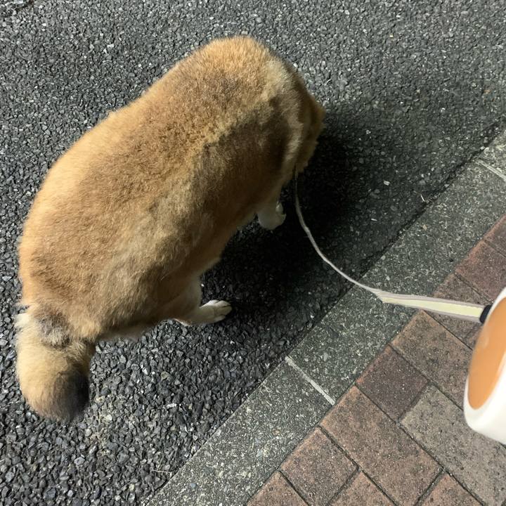 96c358b0 feb4 433a 9b1f 47046efc2358 1634533326049