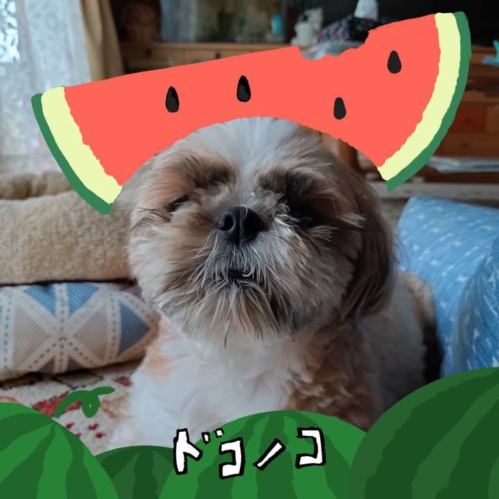 96c3b019 1fe8 4186 996d e369ad373065 1720834251658