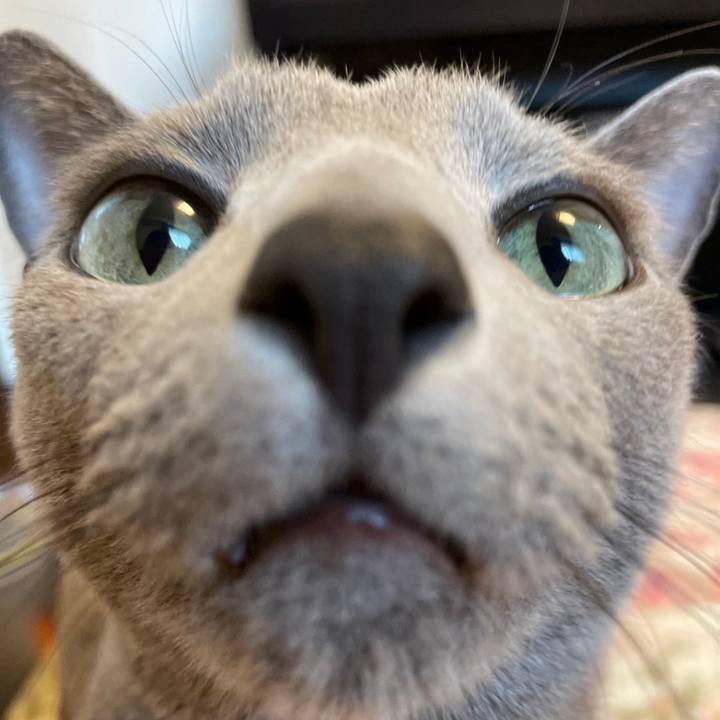 96c3dc9d 7e3a 4482 b040 889fab1fffd0 1740741687046