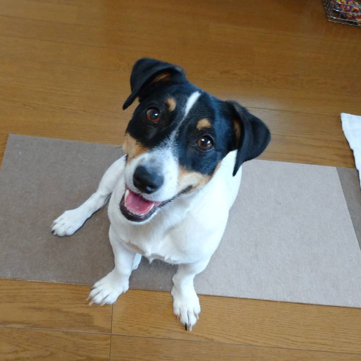 96c3e08b bc81 4297 a44c efdd757c1fa4 1565823066258