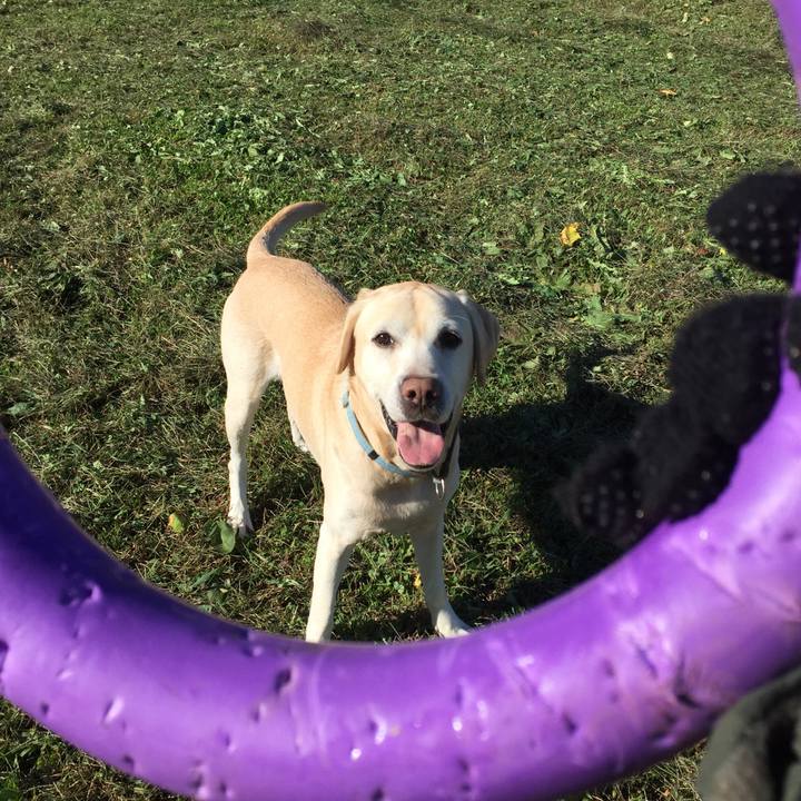 96c3feef f122 4d18 9793 2ee1624af55e 1510484251803