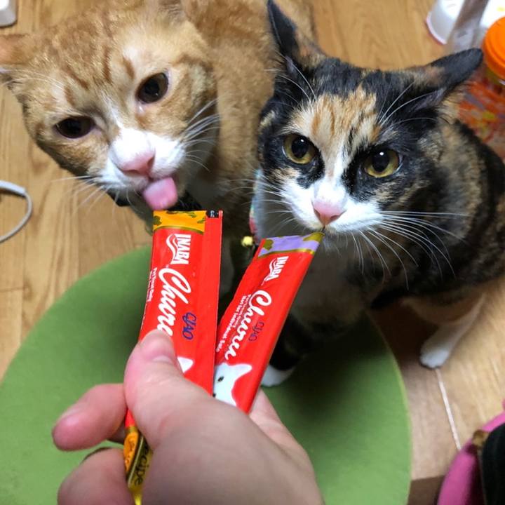 96c491f5 41d5 4847 82eb 1b443b63cbd6 1559556182249