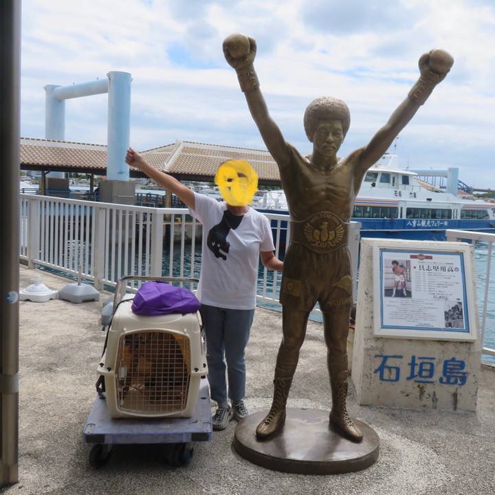 96c49630 ad16 4e8d b0b8 a36181a4a251 1601047089765