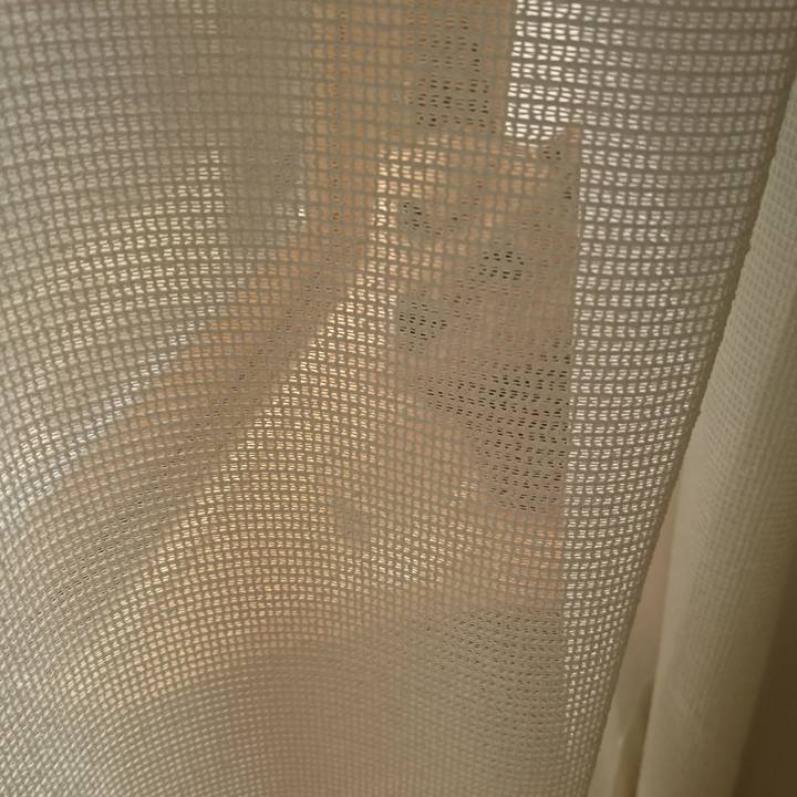 96c4cf1b 4feb 4f3d 94aa 8ed1a22c6902 1554081713857