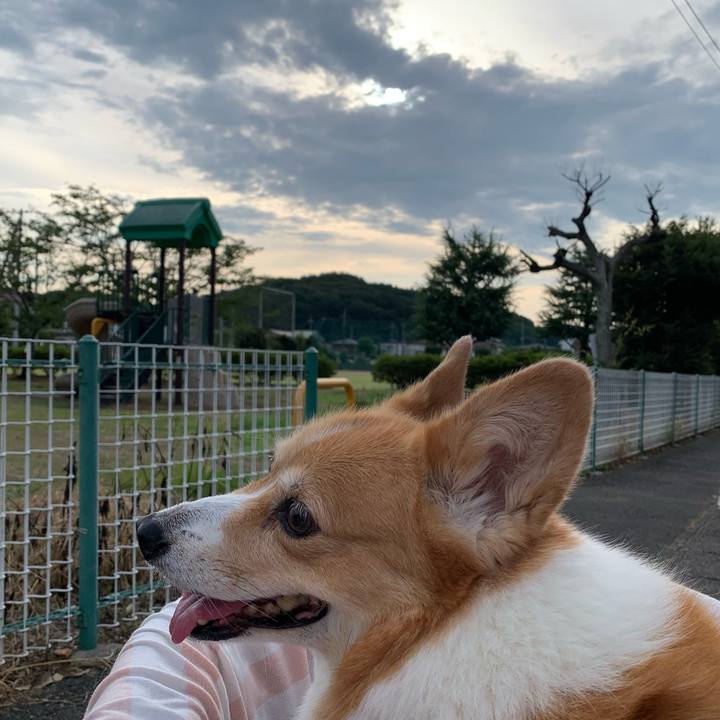 96c4f79e 5fcc 4e0a a249 210dfb01d2bf 1721860401244