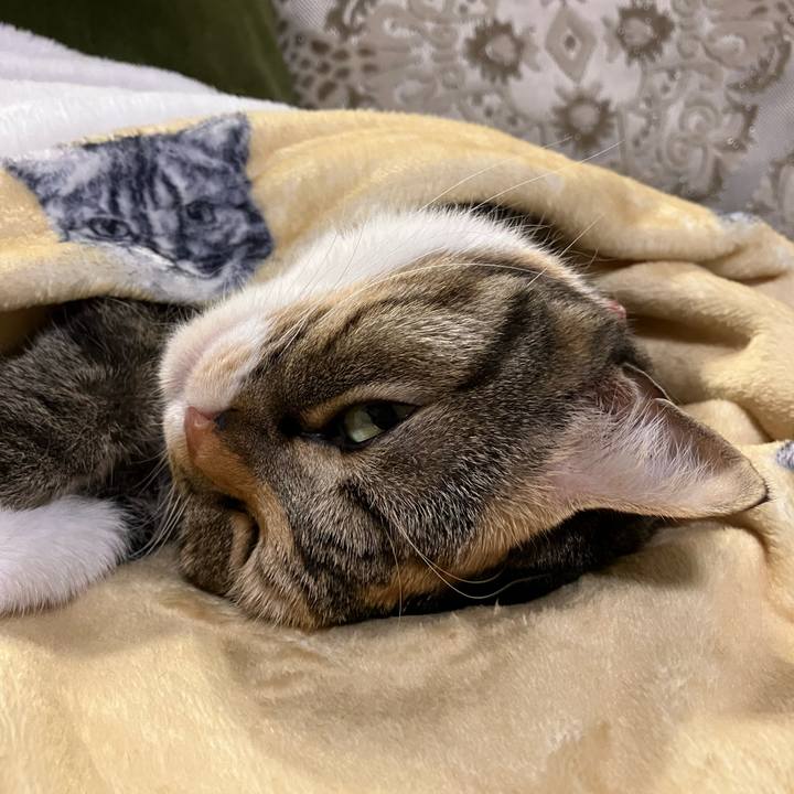 96c54767 41d2 4753 b01c 774462127e19 1763260474143