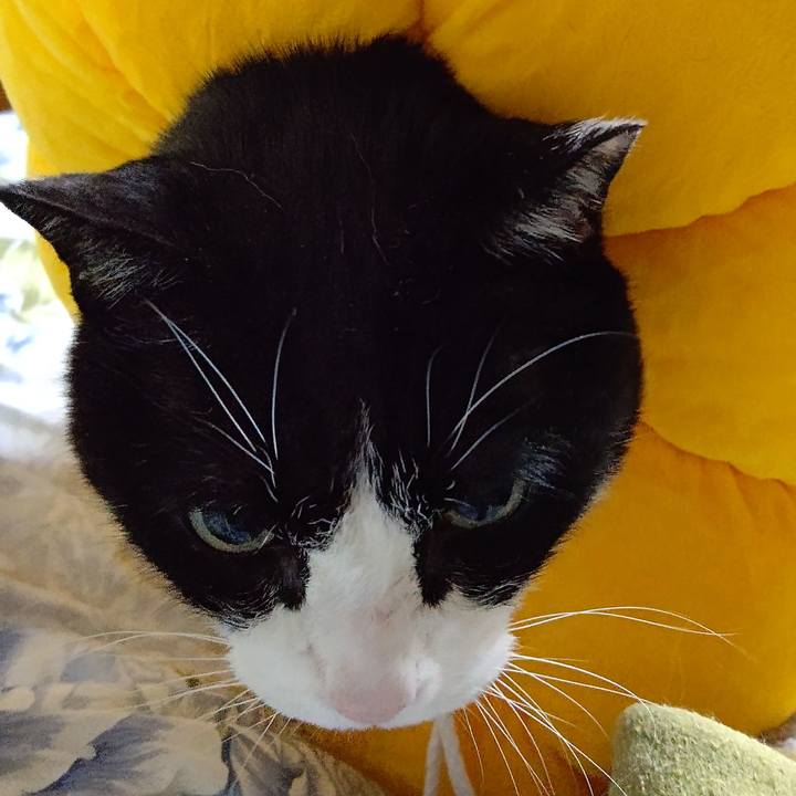 96c54c08 8b39 4677 9e47 af315e4163df 1649074887295