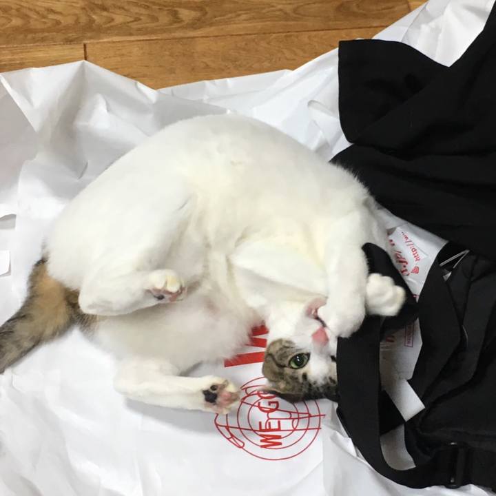 96c5605d 5fda 4118 b2ab 9cbaad89593d 1544501436057