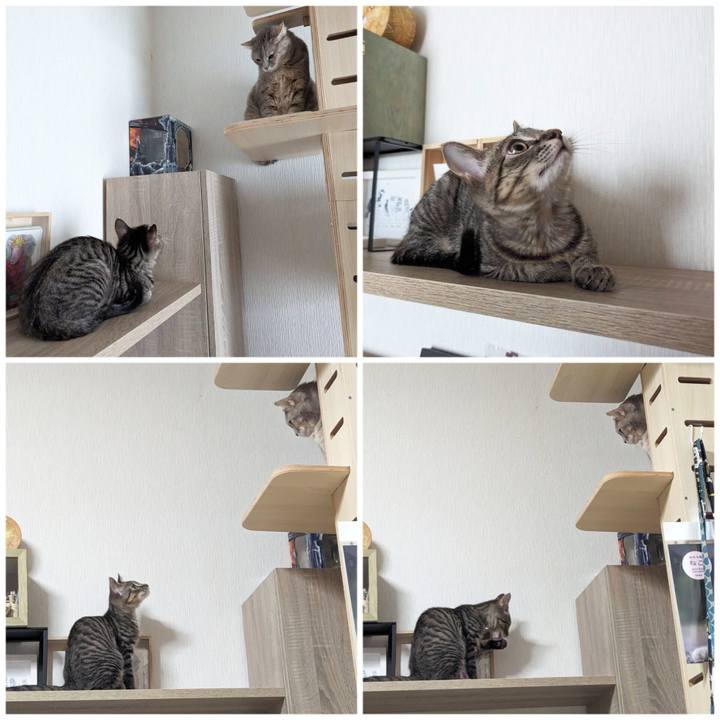 96c572fd d190 45bf 8eeb 1c929f5d1067 1703569722332