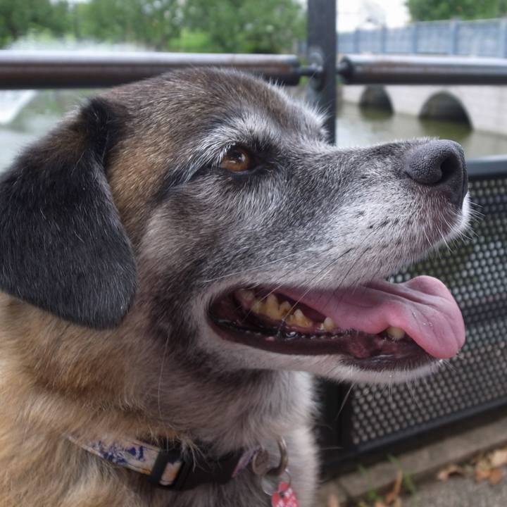 96c5a043 fd48 4d2e 90ab fa7a118d3ecf 1612401505128