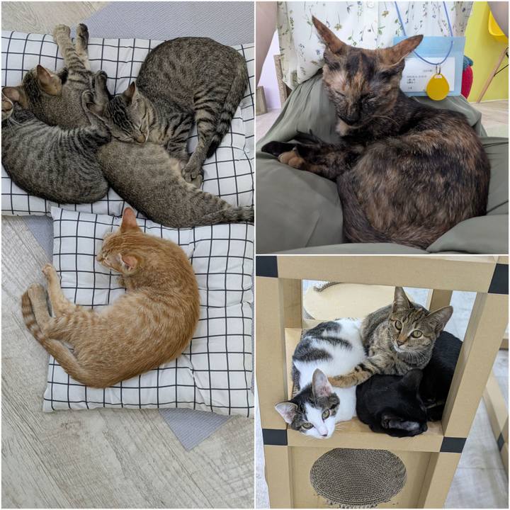 96c5a26f fc19 4932 80aa 08e1c03e1e70 1755251243167