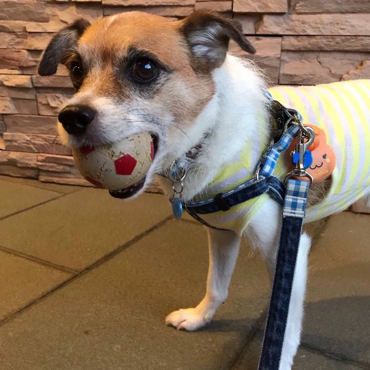 96c5a2cc 7e04 4000 9c8f 131cea27555e 1538124847302