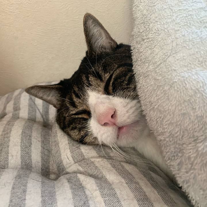 96c5a975 17f1 45a0 8f37 7bed8278b311 1570667791409