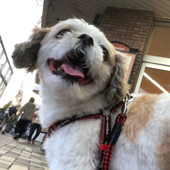 96c5bd7e f56d 4167 a6c7 0b096084d62b 1570658056108