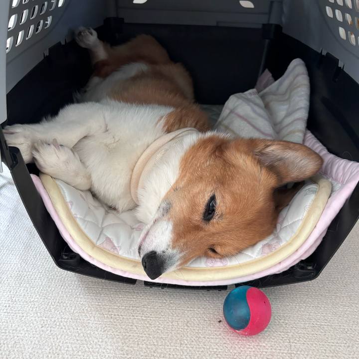 96c5e6f3 5586 49d4 9600 15dd25c832b3 1755223079673