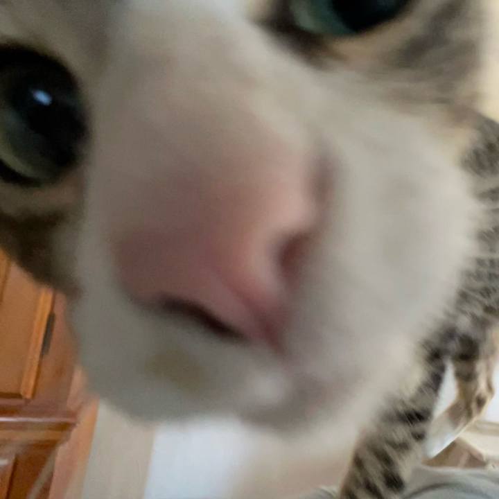 96c5ee21 b45f 4339 af22 bc54c42b981b 1725055691594