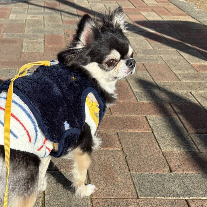 96c615fb 1bb3 4864 98e4 9d0640df93f1 1739636985888