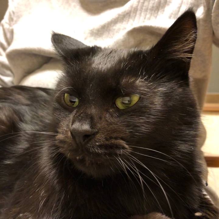 96c668c4 eb33 4226 a452 d6256cdf2d1d 1574827295675