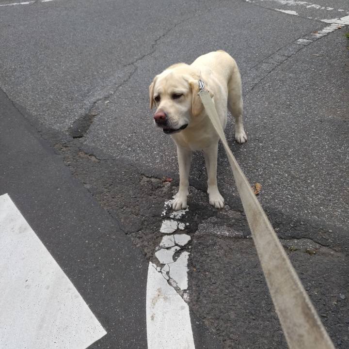 96c67932 16e7 4e2d b645 358513796b78 1624761703395