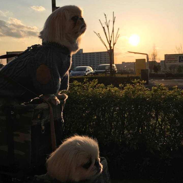 96c6794e 42c6 4d0f a169 63f5722095f7 1520673933257