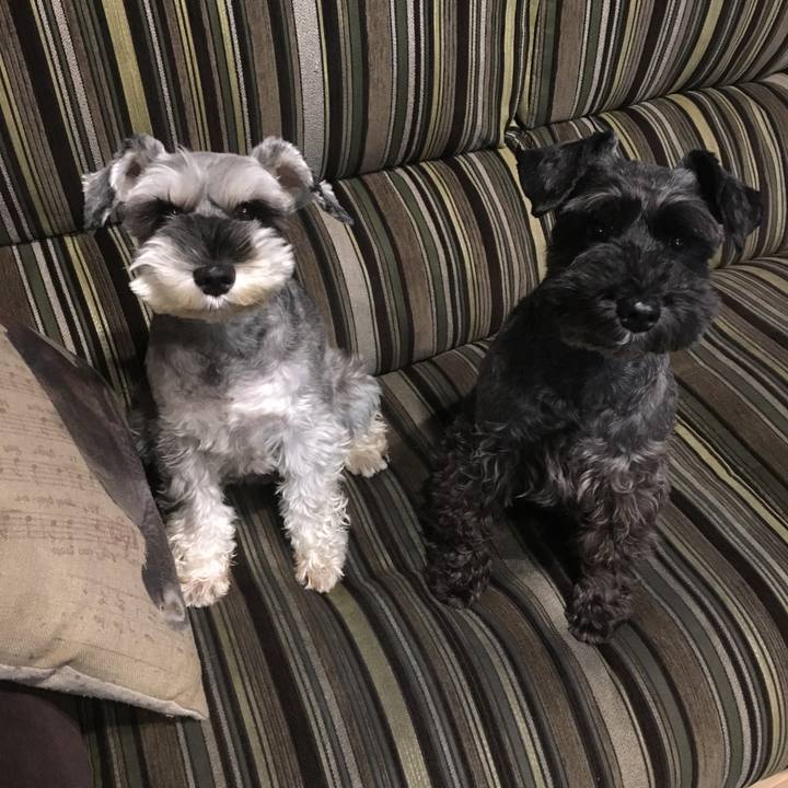 96c6949e 7fa6 4e30 b9bb db9f7b22b9d1 1508410165729