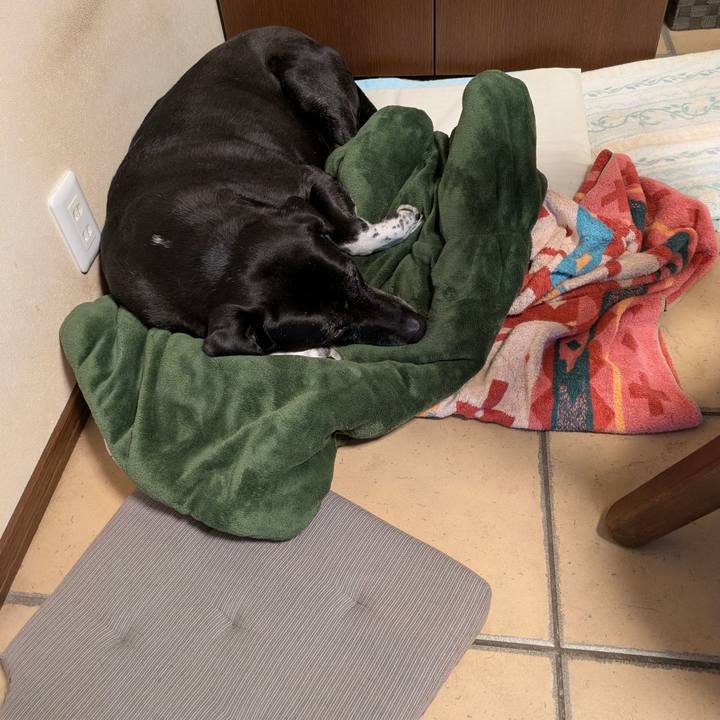 96c6afd6 27d1 4f8a a47d 27b0413093b2 1744677105367