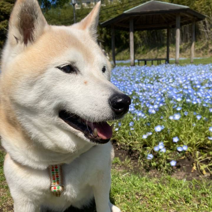 96c6c437 ef0f 47ed be30 fd7ddd290622 1698940672050