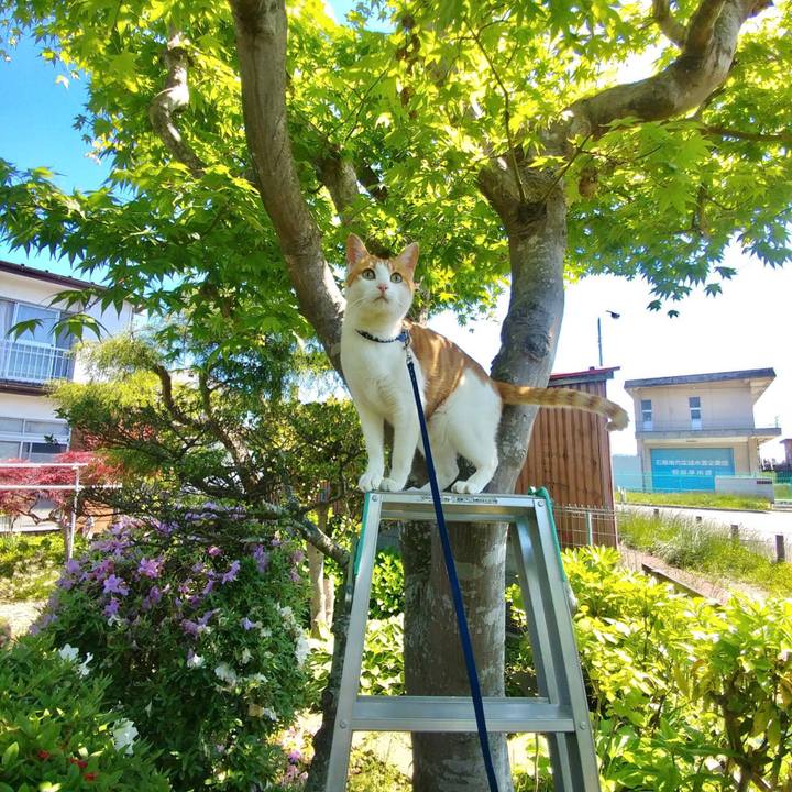 96c6d0ef d0ce 4cb2 98a2 39b02db05e86 1526794393886