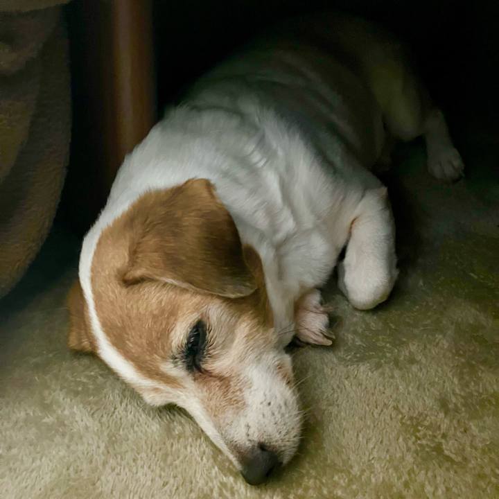 96c6d9bb f597 4204 b876 9b8e923ca267 1706965002267