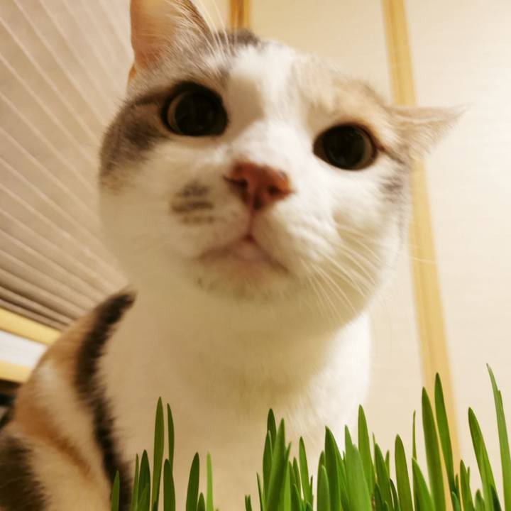 96c72728 caa7 4ec7 8331 6077c3a14df2 1643945797086