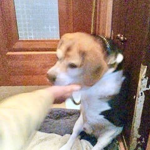 96c73f6a 3dd4 4cfc 8308 cbbff6f31280 1768653974212