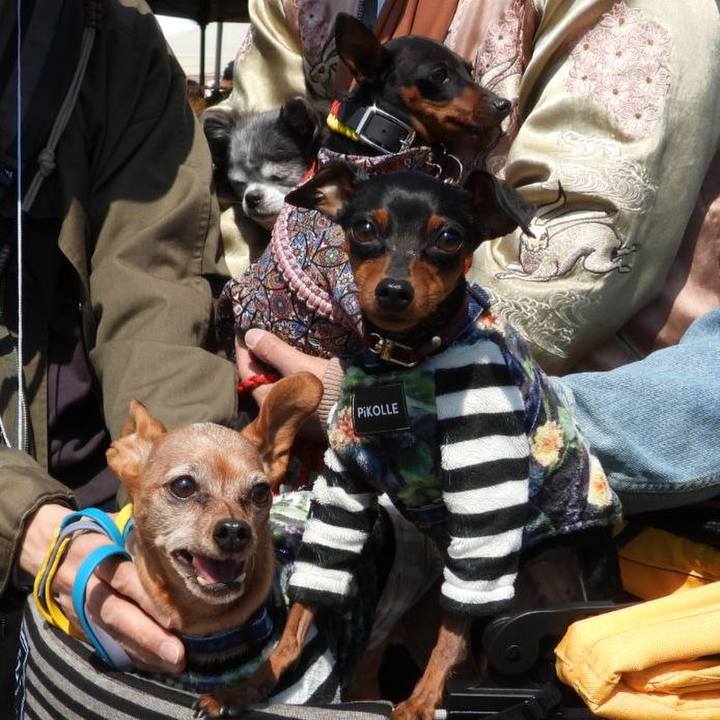 96c74575 a908 42b5 b72b 82cf3b5340de 1774161711528