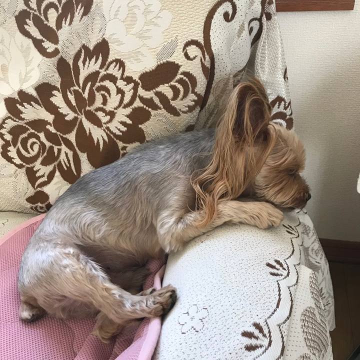 96c7695e 8f55 4701 bc14 f9d6334f9fcc 1564734916276