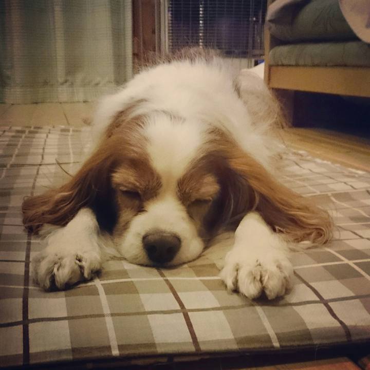 96c7738c cd36 4992 8907 a23e4044bee1 1516369585119