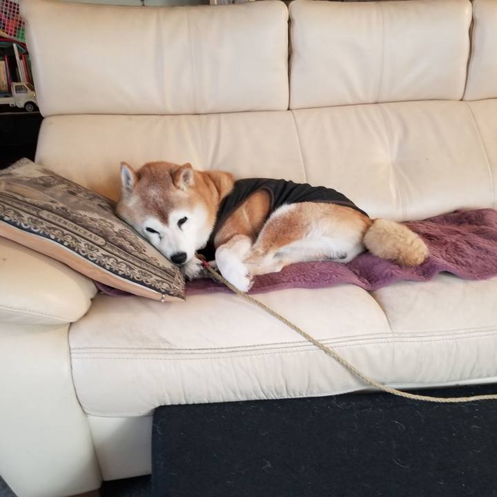 96c79c7d d946 4c9b 9c71 15df3b40f68c 1731285757650