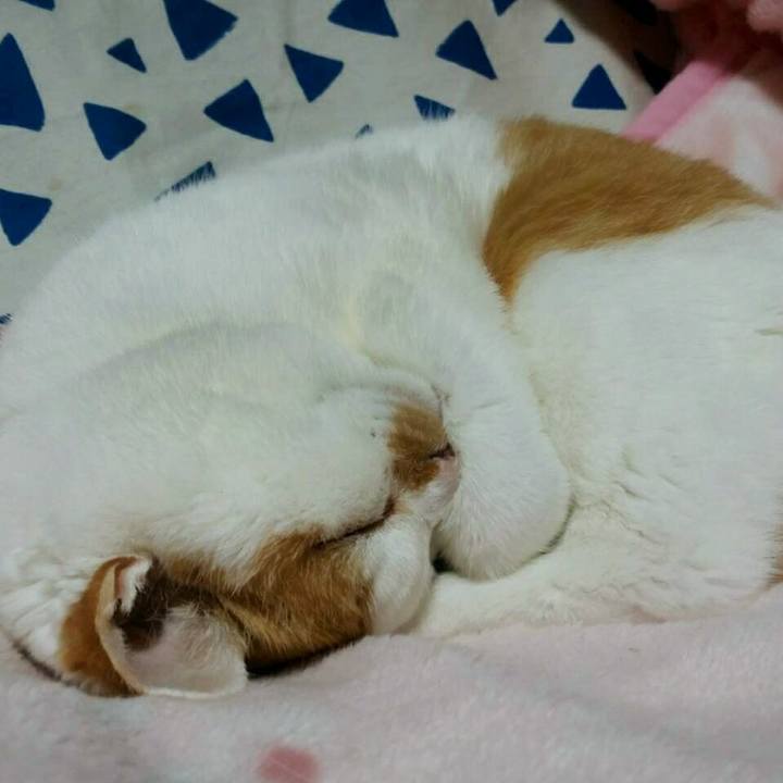 96c7a8e9 b234 4779 b219 23a1a3529b81 1510570082382